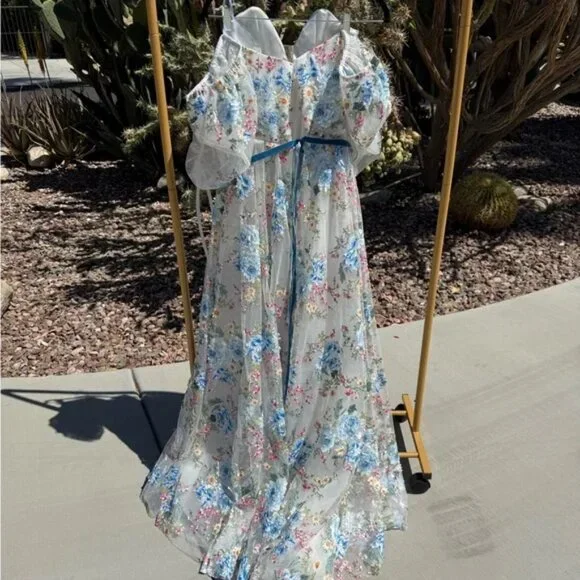 Teuta Matoshi- Cerulean Wildflower Floral Puff Sleeve Dress with Blue Accents - Picture 8 of 8